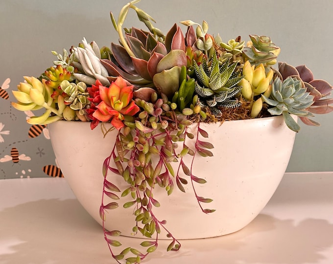 Unique Succulent Centerpiece 12 Inch Rustic Ceramic Planter Housewarming Gift for Plant Lovers Office Desk Decor