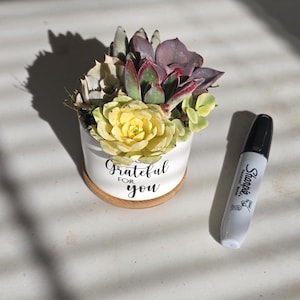 May include: A white ceramic planter with a wood base, featuring the text "Grateful for you". The planter is filled with a variety of succulents, including green, purple, and yellow varieties.