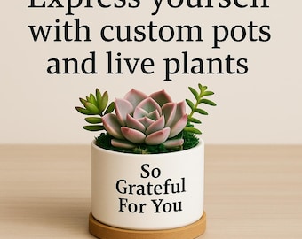 Personalized Succulent Gift Custom Message Planter with Live Succulents Best Friend Gift, Birthday Gift, Thank You Gift, Desk Plant Decor