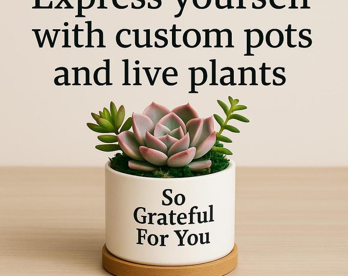 Personalized Succulent Gift Custom Message Planter with Live Succulents Best Friend Gift, Birthday Gift, Thank You Gift, Desk Plant Decor