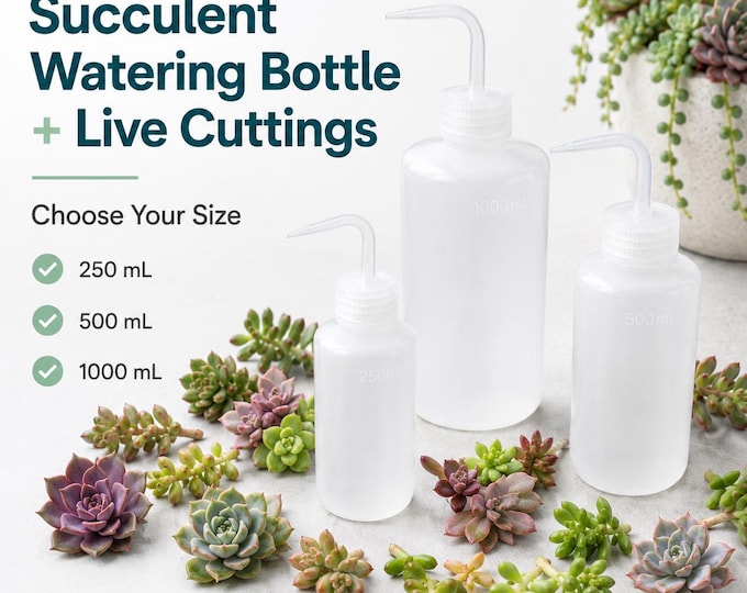 Succulent Watering Bottle – Precision Squeeze Tool for Indoor Plants and Propagation Kits