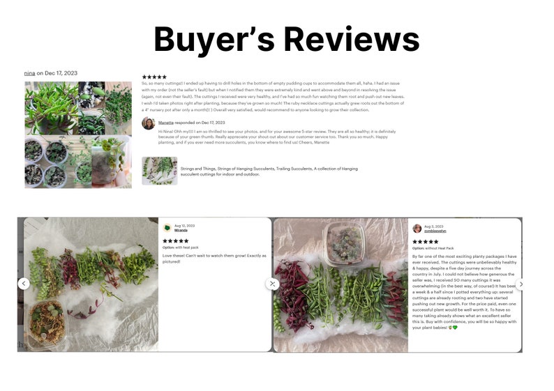 Buyer's reviews on Strings cuttings