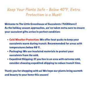 Puede incluir: Texto sobre un fondo blanco con acentos azules y rojos. El texto dice "Keep Your Plants Safe - Below 40&deg;F, Extra Protection is a Must!"  &iexcl;Bienvenido a The Little Greenhouse of Succulents (TLGSStore)! A medida que se acerca la temporada navide&ntilde;a, hemos tenido especial cuidado para asegurarnos de que tus regalos de suculentas lleguen en perfectas condiciones: &bull; Protecci&oacute;n contra el fr&iacute;o: Ofrecemos paquetes de calor para mantener tus suculentas calientes durante el transporte. Recomendado para &aacute;reas con temperaturas por debajo de 40&deg;F. &bull; Embalaje: Usamos materiales aislantes para proteger tus suculentas del fr&iacute;o. &bull; Env&iacute;o acelerado: Si vives en un &aacute;rea con fr&iacute;o extremo, considera elegir el env&iacute;o acelerado para reducir el tiempo de tr&aacute;nsito. &iexcl;Gracias por comprar con nosotros! Esperamos que nuestras plantas traigan calidez y belleza a tu hogar esta temporada!