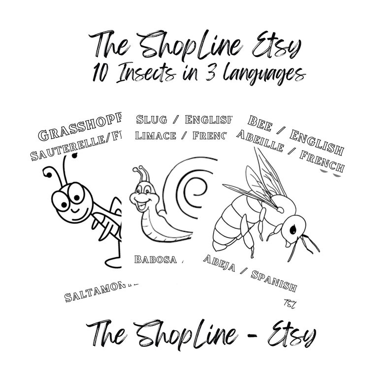 Printable Drawing Insects Insects to Draw With Their Names in Etsy Canada