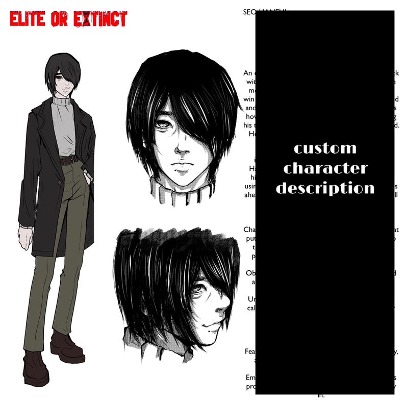 Custom OC Concept Sheet (full Body + 2 Close-ups + Bio) - Etsy