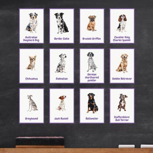 Dog Breed Flash Cards Printable | Educational Dog Breed Learning Cards for Kids | 33 Dog Breeds | Instant Download PDF | 105x148mm