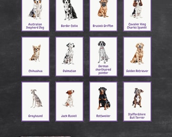Schede didattiche sulle razze canine / Schede didattiche per bambini (PDF)