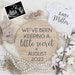 see more listings in the Pregnancy Announcements section