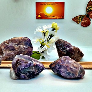 特大アメジストチャンク！6種類の原石から、お好みの天然アメジストチャンクをお選びください。特大サイズの結晶と石です。