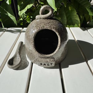 May include: A ceramic salt cellar with a speckled glaze and a small spoon. The cellar has a round opening and a label that says "SALT".