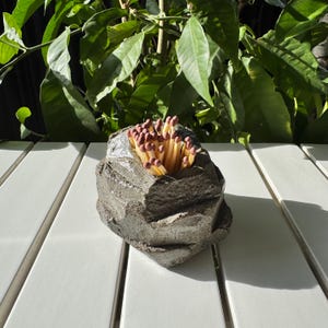 May include: A gray concrete match holder shaped like a rock with a pile of matches inside.
