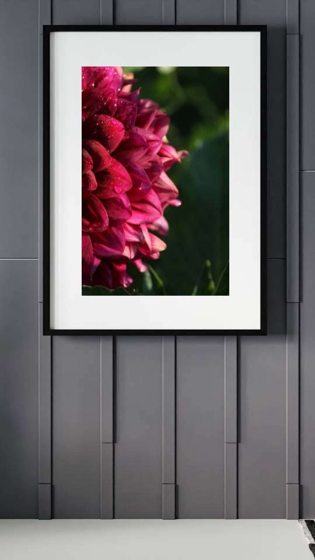Fine Art Photo Red Dahlia Etsy