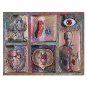 以下が含まれることがあります： 6つの区画に分かれた木製の箱。各区画には、異なる解剖学的画像またはオブジェクトが入っています。区画には、人間の頭、赤い珊瑚、ガラスの目、臓器が見える人間の胴体、緑色のガラスビーズが付いた心臓、赤い内臓が見える心臓が入っています。