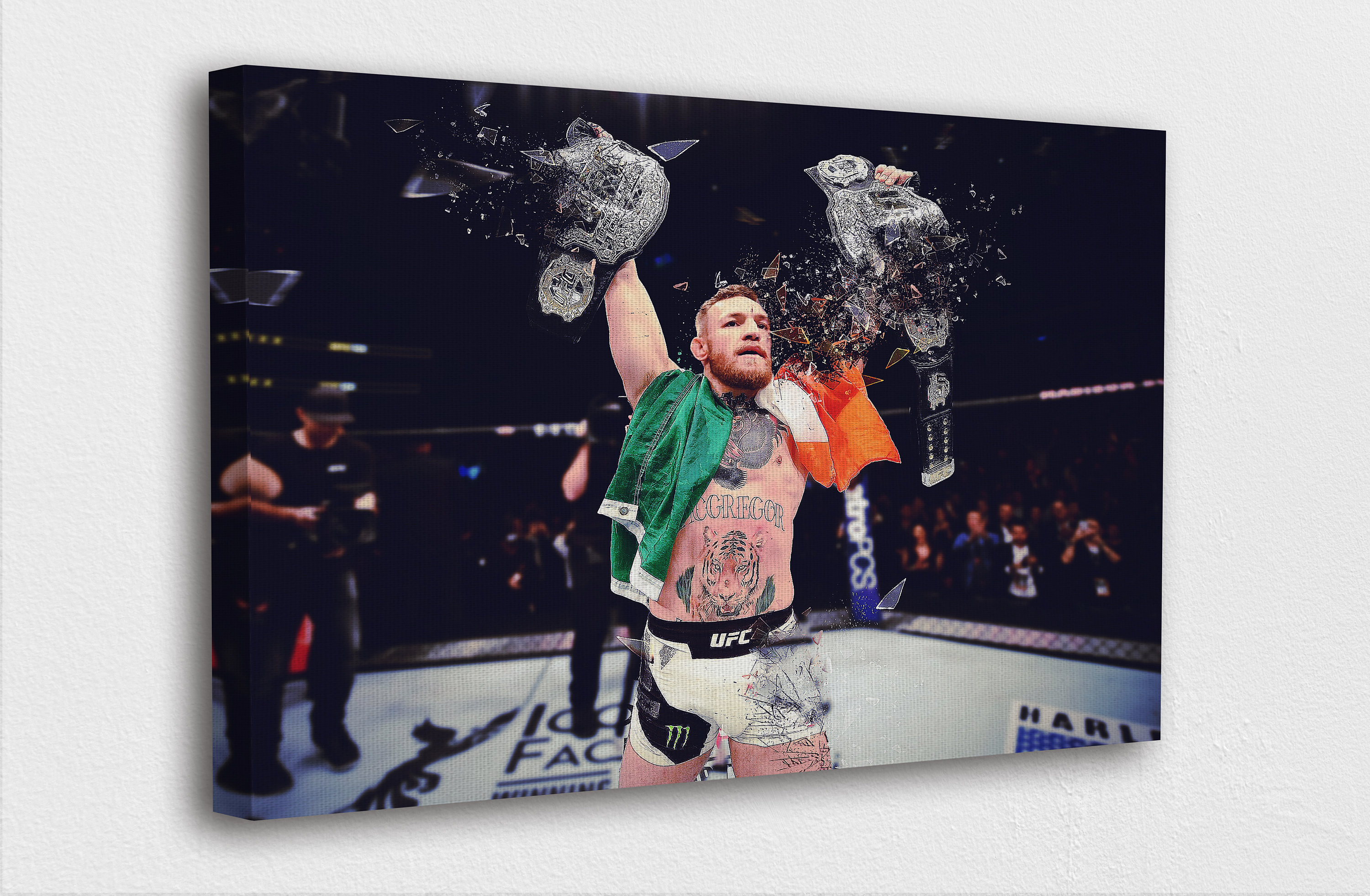 Conor outlet mcgregor canvas