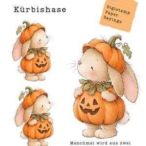 May include: A digital stamp set titled Digistamp Set Kürbishase featuring illustrations of a light brown rabbit wearing a carved orange pumpkin as a costume. The set includes text labels Digistamp Paper Sayings, PNG PDF, and Manchmal wird aus zwei einfach eins.