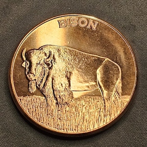 May include: A round copper-colored coin featuring a detailed relief of a standing bison in a grassy field. The word BISON is embossed in capital letters along the top edge of the coin. The surface has a metallic sheen with visible texture.