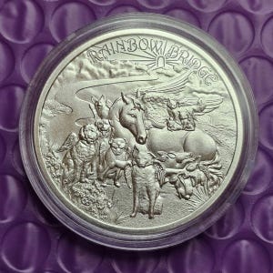 May include: A silver coin featuring a winged horse, various animals with wings, and the words "Rainbow Bridge". The coin is encased in a clear plastic holder. The design is detailed and the coin has a reflective surface.