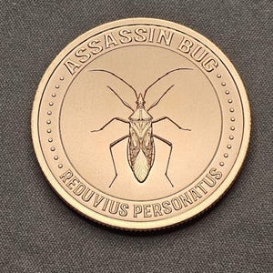 May include: A bronze-colored coin featuring an Assassin Bug illustration. The coin's edge has a dotted pattern. The words "ASSASSIN BUG" and "REDUVIUS PERSONATUS" are inscribed around the bug image.