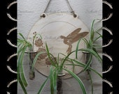 Hummingbird Propagation Station svg, Indoor wall plant hanger, Glowforge ready file, File Only