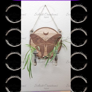 Luna Moth Propagation Station svg, Propagation wall hang, Glowforge tested, File Only