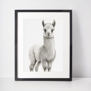 Baby Llama Wall Art Print | Cute Animal Drawing Nursery Decor | Printable Digital Download | White Background