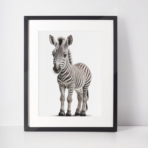 Baby Zebra Wall Art Print | Cute Animal Drawing Nursery Decor | Printable Digital Download | Creamy White Background