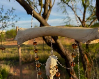 Sonnenfänger | Handgemacht, Ethisch, Hirschknochen, Eichhörnchenschädel