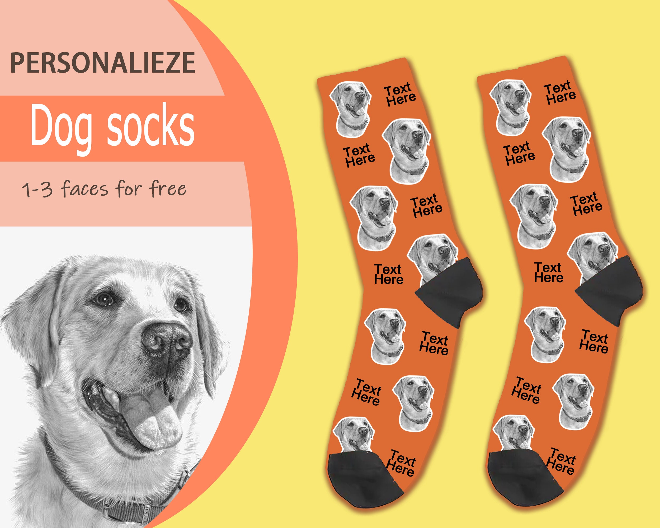 Is It Illegal For A Dog Not To Wear A Tag