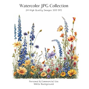 24 clipart de borda de flores silvestres, flores silvestres, clipart em aquarela para impressão, JPGs de alta qualidade, download digital, artesanato em papel, diário de lixo eletrônico