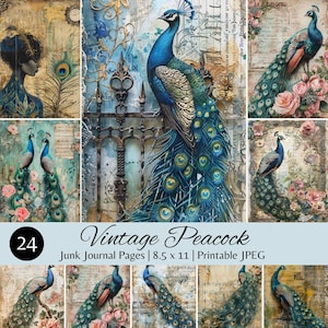 May include: A set of 24 printable junk journal pages featuring vintage illustrations of peacocks with intricate details and a blue, green, and gold color scheme. The pages are 8.5 inches by 11 inches.