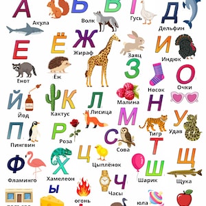 Op de afbeelding: Een educatieve poster van het Russische alfabet met kleurrijke cyrillische letters gecombineerd met illustraties van dieren, objecten en voedsel. Elke letter gaat vergezeld van een bijbehorend woord in het Russisch, zoals A voor Akula.