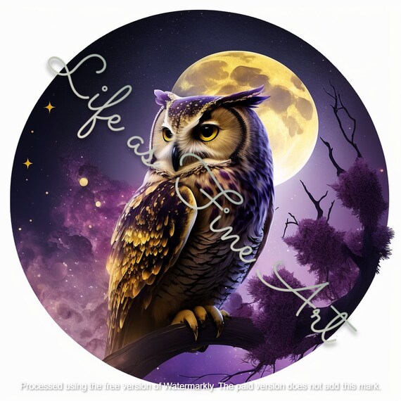天空のフクロウのクリップアート - 夜の銀河魔法ファンタジーフクロウ