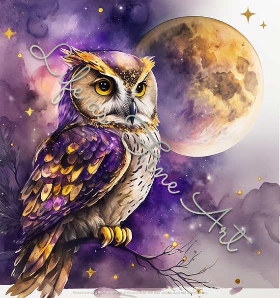 天空のフクロウのクリップアート - 夜の銀河魔法ファンタジーフクロウ