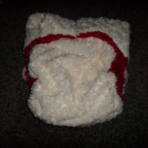 Adult  Diaper , Ivory Swirl Minky with Red Swirl Minky Lining