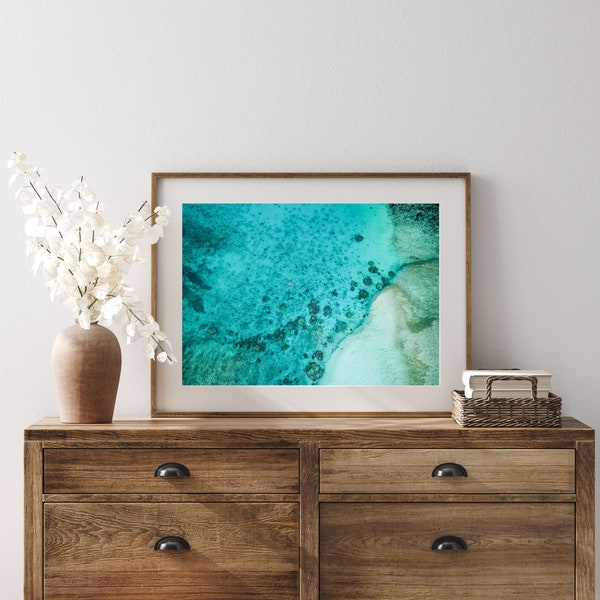 Coral Wall Art Etsy