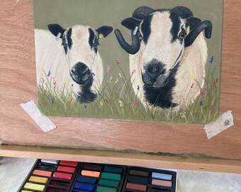 Walisische Schaf Dachs Berg Pastell Originalbild Zeichnung Mutterschaf Schaf