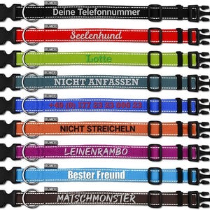 Könnte beinhalten: Eine Auswahl an Hundehalsbändern in verschiedenen Farben, jeweils mit einer individuellen Textaufschrift. Die Halsbänder haben schwarze Kunststoffschnallen und Metall-D-Ringe. Zu den Farben gehören Schwarz, Rot, Grün, Türkis, Blau, Orange, Lila, Hellblau und Braun.