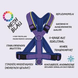 Shoulder Harness for Dogs, Y-Style, Quality MESH harness padded, color combinations, Wellness for your dog, Dogharness, adjustable blue