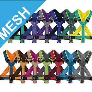 Shoulder Harness for Dogs, Y-Style, Quality MESH harness padded, color combinations, Wellness for your dog, Dogharness, adjustable