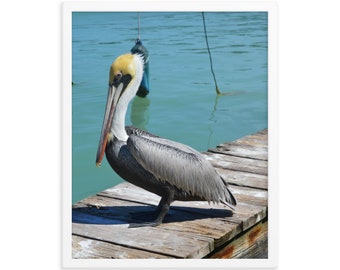 Pelican / Framed Poster / Coastal Wall Art