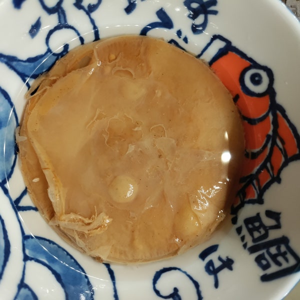 Scoby kombucha 10cm diameter