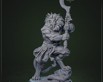 Leorin Warblade | D&D Miniature