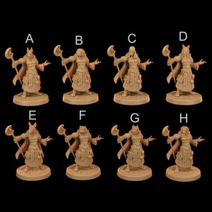 Dog Mage | RPG Miniature for Dungeons and Dragons|Pathfinder|Tabletop Wargaming | Humanoid Miniature | Dragon Trappers Lodge
