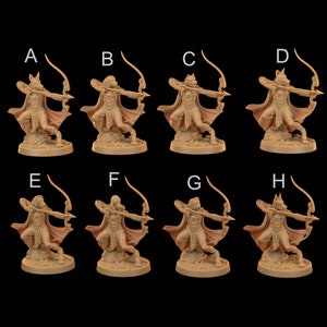 Dog Ranger | RPG Miniature for Dungeons and Dragons|Pathfinder|Tabletop Wargaming | Humanoid Miniature | Dragon Trappers Lodge