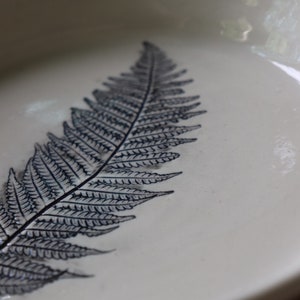 Talerze ceramiczne - nadruk paproci - liście paproci - talerz z nadrukiem paproci - porcelana - ceramika - naczynia stołowe - sztuka botaniczna