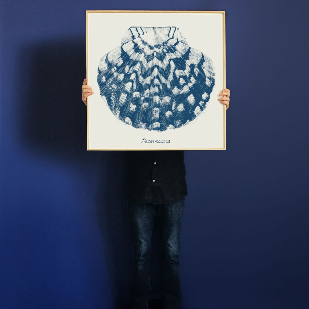 Scallop Shell Poster Large Poster of SCALLOP Shell,27x27 Inch,blue ANTIC Color,dot Drawing ...
