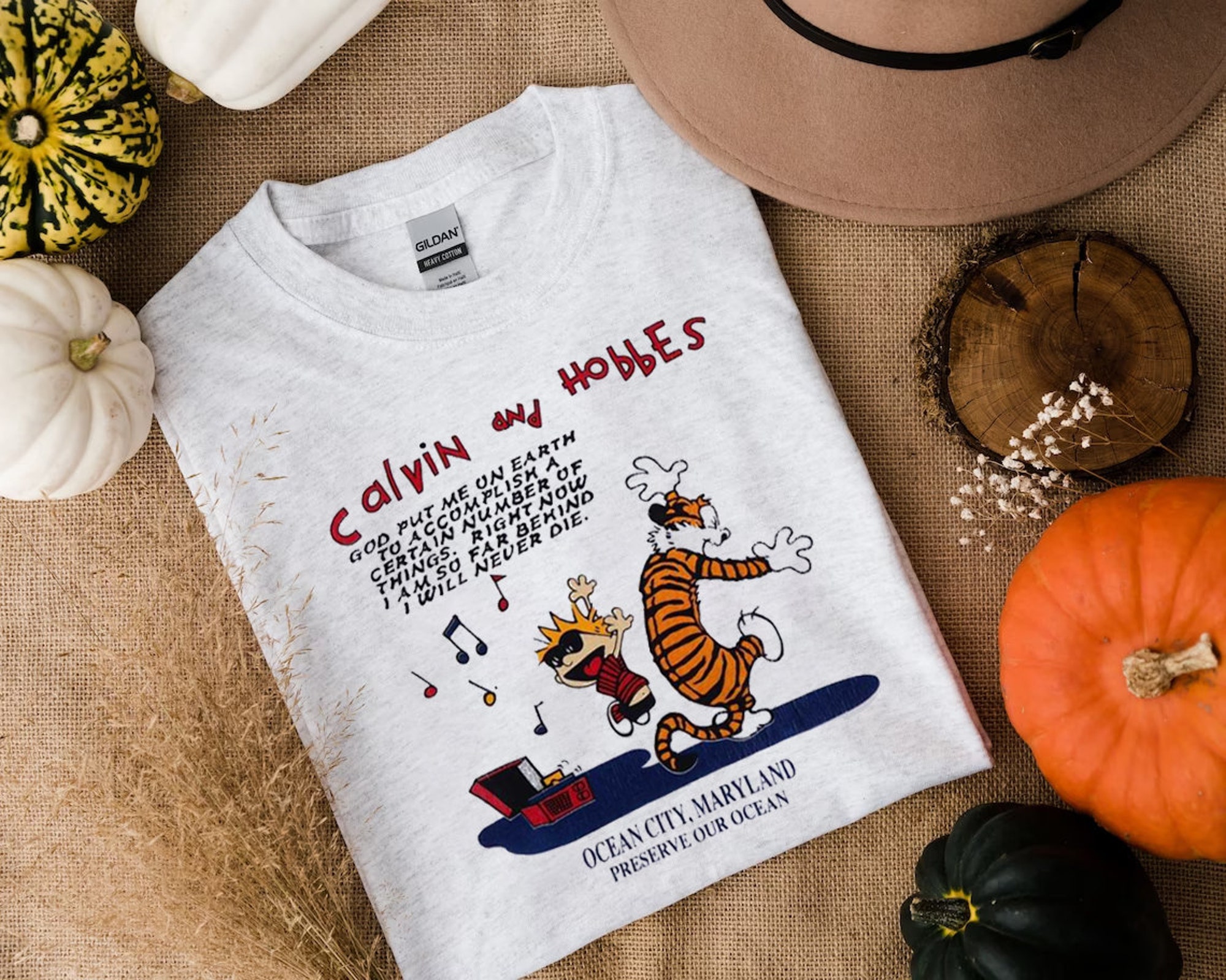 Vintage Calvin And hobbes Music Box Shirt, God Put Me On Earth To Accomplish A Certain Number Of Things
