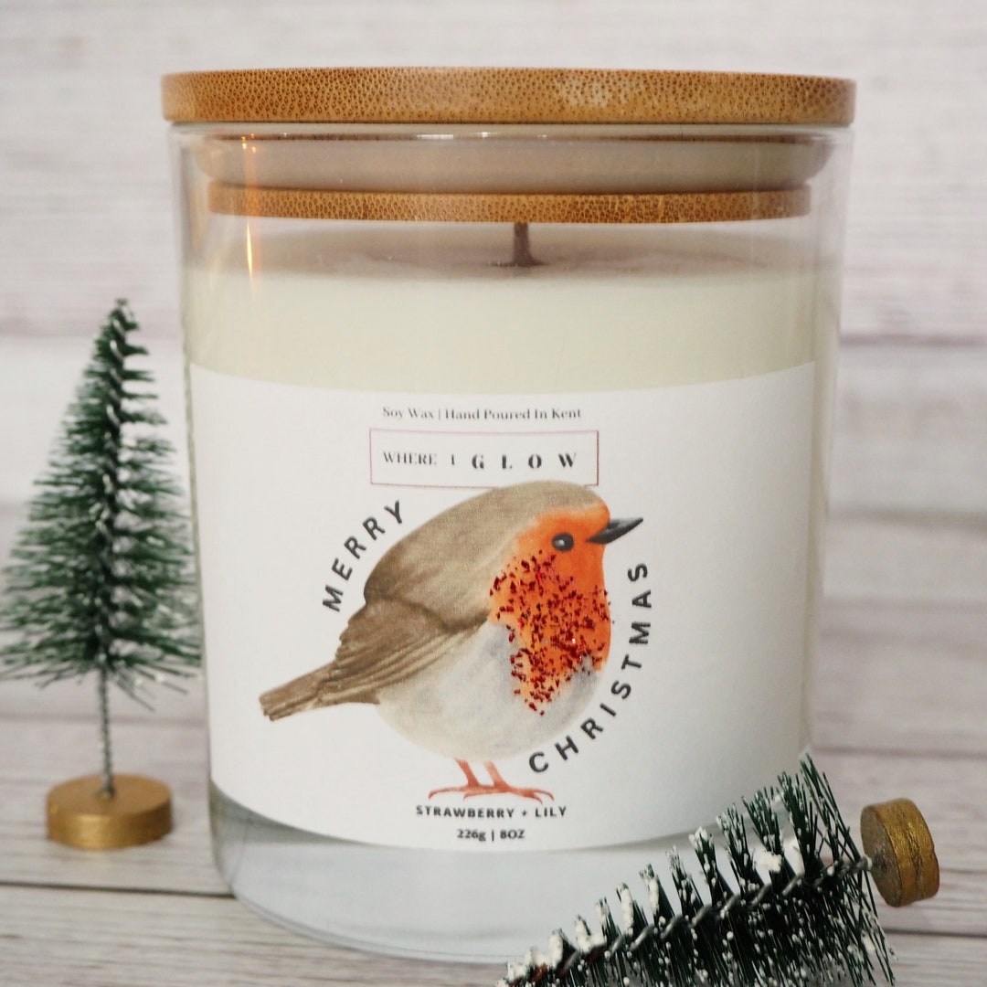 Robin Candle Christmas Gift Robin Christmas Candle Scented Soy - Etsy UK
