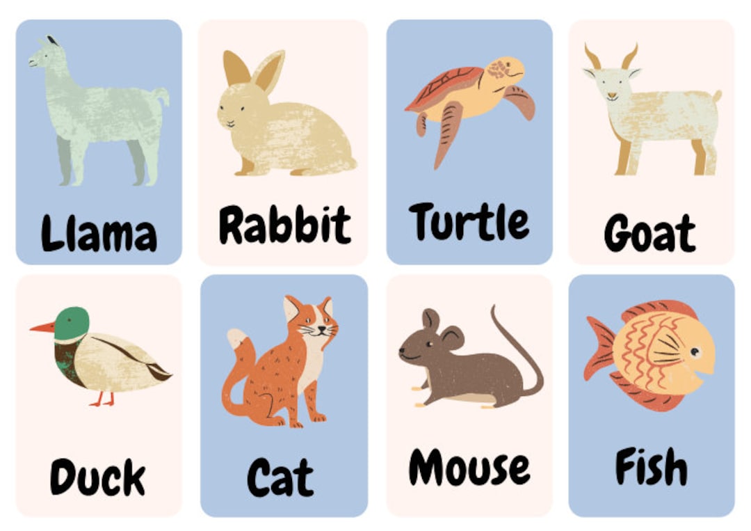 Farm Animal Flashcards for Babies and Toddlers, Toddler Flashcards, Farm Animal Learning Cards