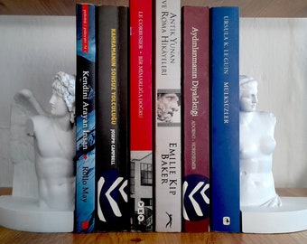 Eros and Aphrodite Bookends - Greek Mythology Decor for Bookshelves - Romantic Gifts